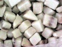 TAQUITOS DE PEZ