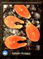 /products/rodaja-de-salmon/