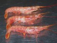 /products/gambon-grande-crudo/